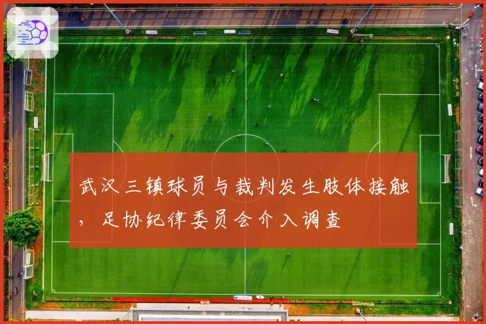 武汉三镇球员与裁判发生肢体接触，足协纪律委员会介入调查