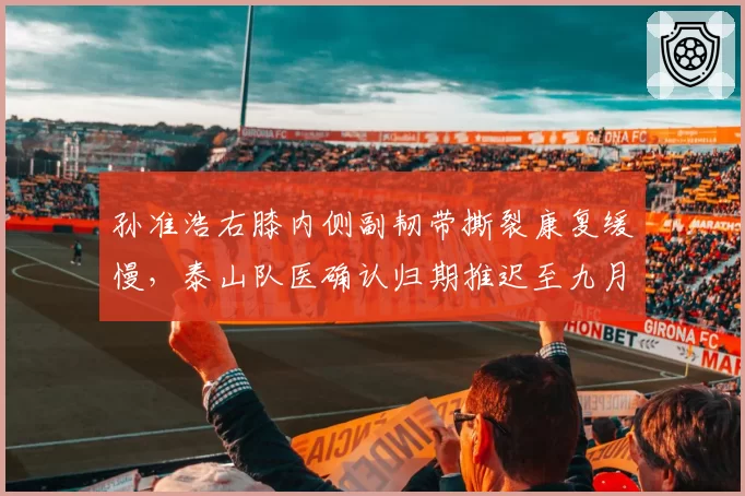 孙准浩右膝内侧副韧带撕裂康复缓慢,泰山队医确认归期推迟至九月